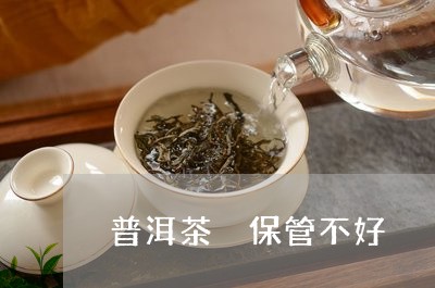 普洱茶 保管不好/2023041061805